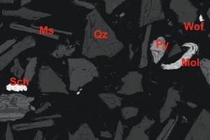  6	Stark vergrößertes Rückstreuelektronenbild von silikatischen Gangmineralen (mittel bis dunkelgrau) und Erzmineralen (weiß). Die Wolframerzminerale umfassen Scheelit (Sch) und Wolframit (Wof), zusammen mit Molybdänit (Mol). Die Freilegung der Partikel ist vollständig und die Partikelformen sind sehr kantig, da die Trennung entlang der Korngrenzen und ohne Abrieb durch Umwälzen und Mahlen erfolgtClose-up backscatter electron microscope image showing silicate gangue minerals (medium to dark grey) and ore minerals (white). Tungsten ore minerals include scheelite (Sch) and wolframite (Wof), together with molybdenite (Mol). Note that particle liberation is complete and particles are highly angular from separation/liberation along particle boundaries without abrasion from tumbling and milling 