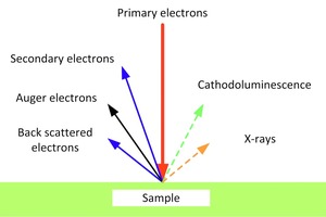  10 Signalarten der Elektronen [29] • Electron signal types [29]  