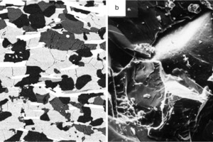  11	BSE-Bild (links – a) [17] und Topographiebild von SE (rechts – b) [42] • BSE image (left – a) [17] and topography image of SE (right – b) [42] 