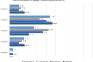  6 Potenzialunterschiede in den jeweiligen Unternehmensgrößen • Potential differences in the respective company sizes 