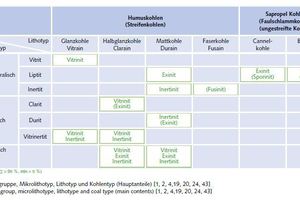  30 Maceralgruppe, Mikrolithotyp, Lithotyp und Kohlentyp (Hauptanteile) [1, 2, 4,19, 20, 24, 43]Maceral group, microlithotype, lithotype and coal type (main contents) [1, 2, 4,19, 20, 24, 43] 