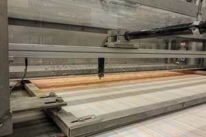  2 Die Robustheit des PTFE-Transportbands erlaubt es dem Kontaktbandtrockner, zu trocknende Produkte – zähflüssig wie fest – in großen Mengen oder Stückzahlen aufzulegen • The robustness of the PTFE conveyor belt allows the contact belt dryer to transport large quantities or numbers of products to be dried – viscous or solid 