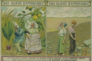  Eine alte Postkarte aus Frankreich – Bauern, die mit Ammoniumsulfat düngen, erfreuen sich der dicksten Rüben und Birnen. Bauern, die ohne auszukommen glauben, sind dem Hungertod preisgegeben. (Quelle: Wikipedia) 