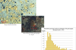  4 Morphologie und Geometrie von Goldflittern aus dem Kieswerk Meißenheim • Morphology and geometry of gold spangles from Meissenheim gravel plant 