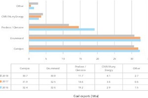  13 Aufteilung der Kohleexporte 2018 • Companies' shares of coal export volumes in 2018 