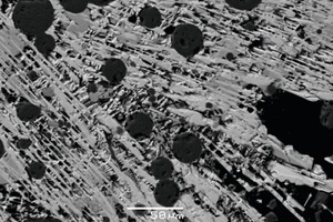  6 Struktur der Phosphatsalzschmelze: helle langgestreckte Kristalle – Phosphate der Seltenerden und Natrium; graue - isometrische Kristalle (Nb-reiche Phase); schwarze Kugel – SilikatenschmelzeStructure of the phosphate salt melt: light, elongated crystals – phosphates of the rare-earths and sodium; grey – isometric crystals (Nb-rich phase); black globules – silicate melt 