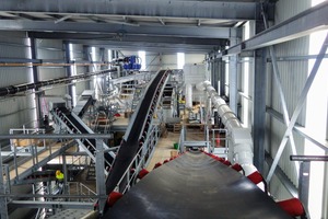  4 Interior view of the plant 