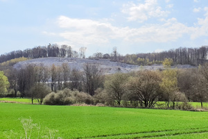  Gipssteinbruch im Südharz  