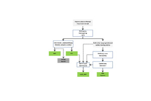  2	Process flowchart showing the developed processing method 