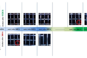  1 	Beispiel aus einem Verschleißtest zweier Drahtgewebe, Maschenweite (MW) = 2,2 mm; Drahtstärke (DS) = 0,6 mm unter gleichen Bedingungen (unbehandelt oben, behandelt unten) 