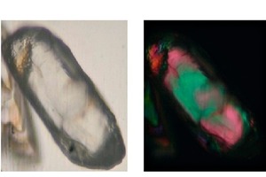  5 REM-Mikrofotos von typischen Zirkonmineralstoffen • SEM photomicrographs of typical zircon mineralsa) Morphologie eines Zirkonminerals mit Löchern und Oberflächenbruchstellen • Morphology of a zircon mineral with pits and surface fracturesb) Zirkonminerale mit Isotropisierung durch radioaktive Strahlung einschließlich Bruchstellen • Zircon minerals exhibiting metamictisation with fractures 