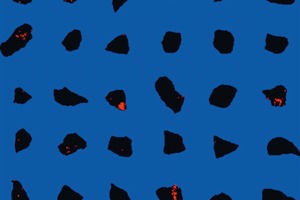  4 Scheelite ore&nbsp;– Image Processed by MATLAB® 