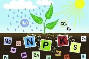  1 Bedarf an Pfanzennährstoffen [2] • The need for plant nutrients [2]  