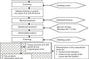  	Flow sheet showing the test procedure (SP: Focus) 