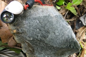  Fonolitgestein aus der Roraima-Region/Nordbrasilien • Fonolite rocks of the Roraima region/Northern Brasil 