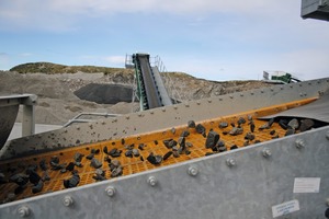  Infinity screen and stockpile conveyor in background 