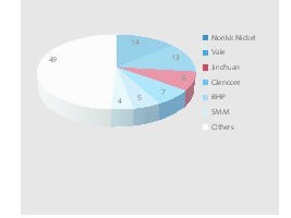  13	Globale Marktanteile bei Nickel 