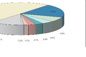  4	Wichtigste Verbrauchsländer neben China • Most important countries of consumption apart from China  