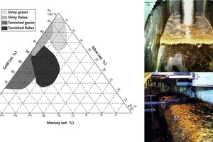  14	Zusammensetzung freier Goldpartikel und Goldflotation • Composition of free Gold particles and flotation  