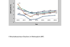  1 Wirtschaftswachstum Brasiliens im Weltvergleich • Brazil's economic growth compared to global growth 