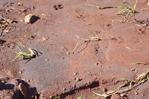  2	Titan wird im Boden und in Sedimenten im nahezu gesamten Ostteil des Landes gefunden • Titanium was found in the soil and sediments across most of the eastern part of the country 