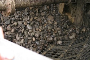  Use of the modular strainer basket at the Eschenbach Gravel Works 