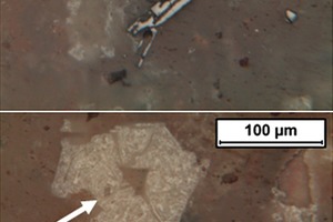  5	Probe Gujarat, Auflichtmikroaufnahme: Leistenförmiges Ilmenit (oben) und Leukoxen (verändertes Ilmenit, durch Pfeil gekenn­zeichnet; unten) im Gibbsit • Gujarat sample, Reflected light photomicrograph: Lath-shaped ilmenite (top) and leucoxene (altered ilmenite, shown by arrow; bottom) present within the gibbsite 