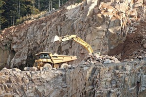  3	Abbruchwand im VSG Steinbruch in Seebach • Quarry face at VSG Steinbruch in Seebach 