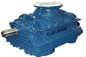  2	Drehkolbenverdichter Delta Hybrid, Baugröße D&nbsp;152&nbsp;SDelta Hybrid rotary lobe compressor, size D&nbsp;152&nbsp;S 