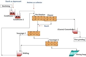  10 Prinzip der Umkehrflotation für Eisenerze • Principle of reverse flotation for iron ores 