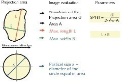  	Measured variables and parameters of the image analysis 