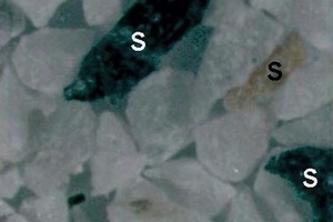  Kieselkalkstein mit weißer Färbung zeigt Spuren verschiedener silikatischer Minerale (S). Reflektiertes Licht, Stereomikroskop, Mikroaufnahme 
