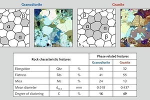  15 Verteilung der Mikrokörper: Granodiorit (Oberottendorf) – dispergierte Phase, Granit (Baden-Baden) – agglomerierte Phase • Distribution of the microbodies: granodiorite (Oberottendorf) – dispersed phase, granite (Baden-Baden) – agglomerated phase 