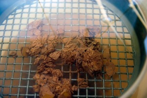  	Clay agglomerate during a disintegration test<br /> 